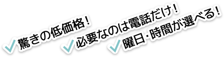 驚きの低価格！必要なのは電話だけ！曜日・時間が選べる！